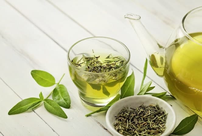 green tea and immune system