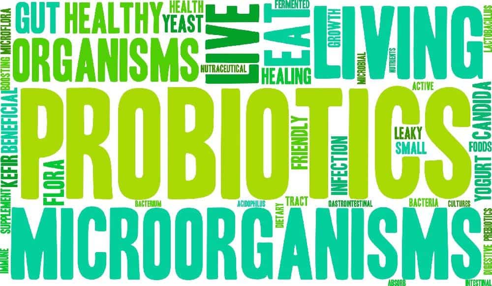 probiotics foods 