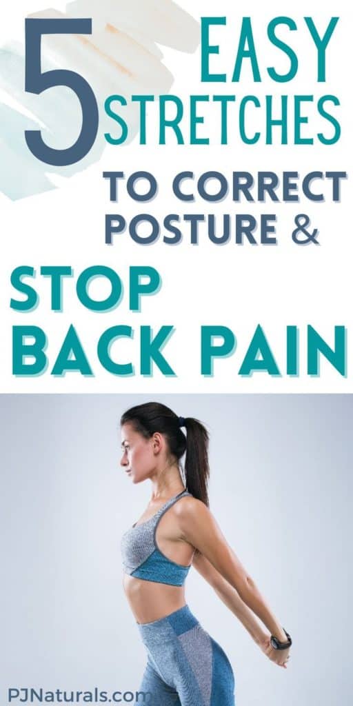 stretches for posture and to stop back pain 