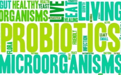 Probiotics – Just A Fad Or Something That You Really Need?