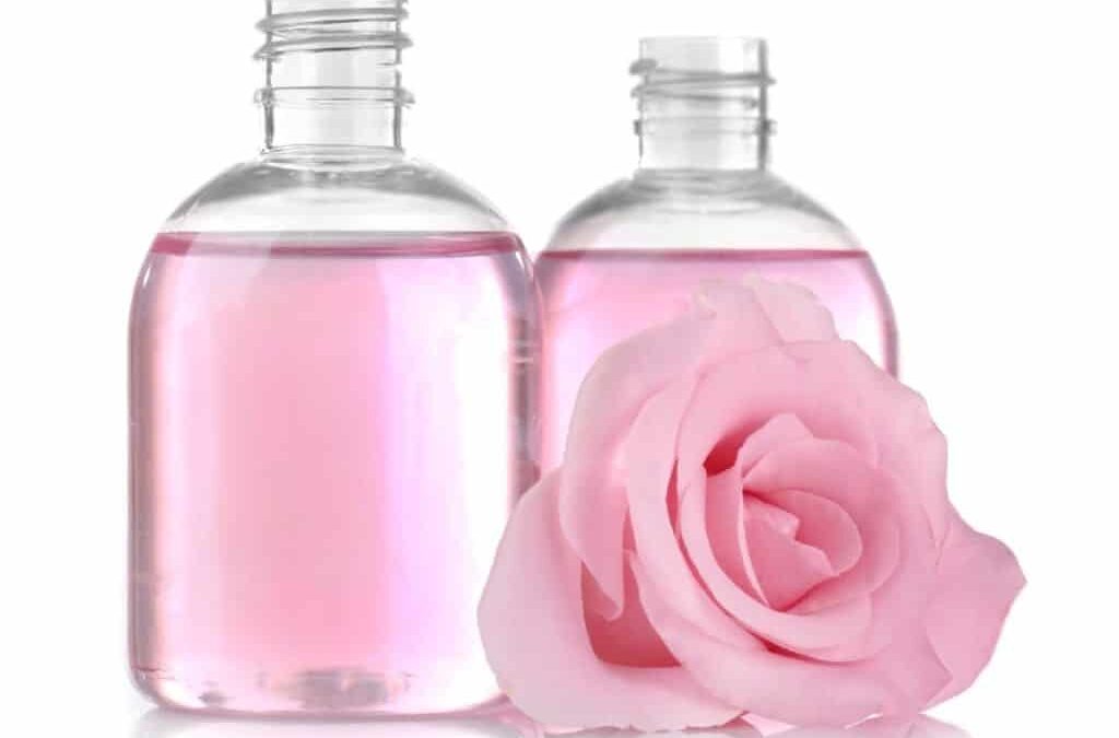 Pure Rose Essential Oil: Benefits and Uses For Health & Wellness