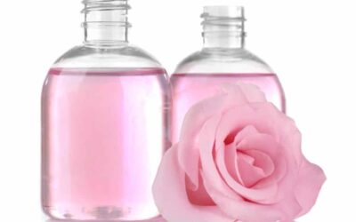 Pure Rose Essential Oil: Benefits and Uses For Health & Wellness